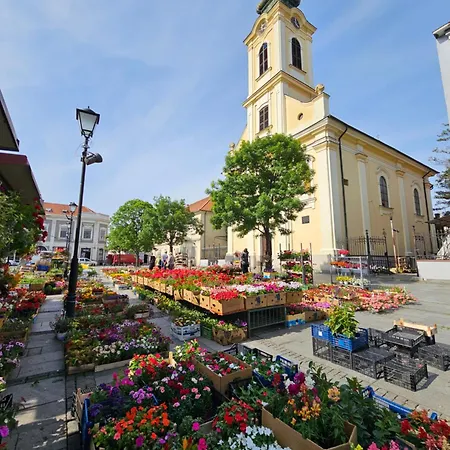 公寓 Zemun Center Lux 3 Bedroom